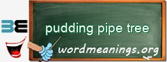 WordMeaning blackboard for pudding pipe tree